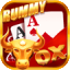 rummy king
